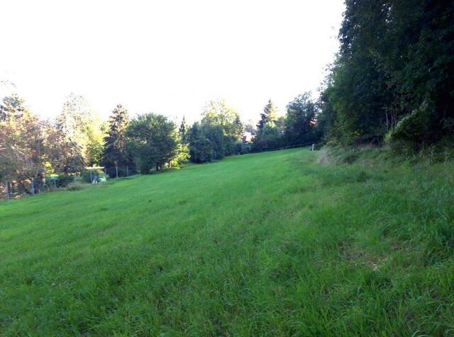 Das Wohnungsprojekt wird am Klosterberg in Neulengbach verwirklicht.