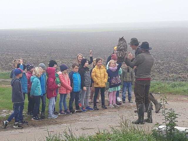 Ganz begeistert waren die Kinder vom Uhu.