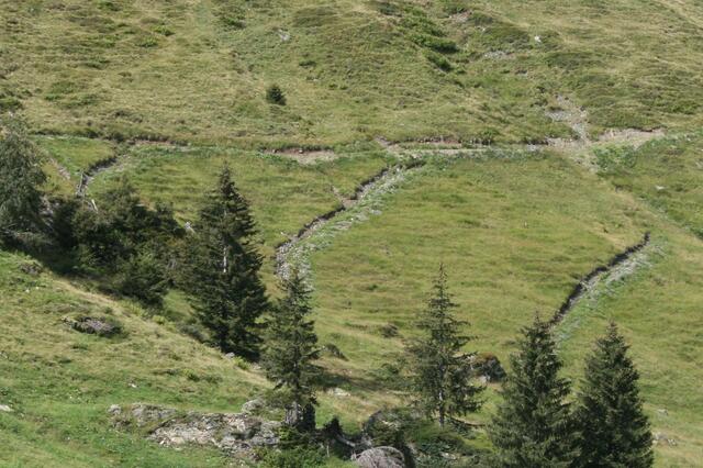 Entwässerungsgräben im Schutzgebiet: Verboten. | Foto: LUA