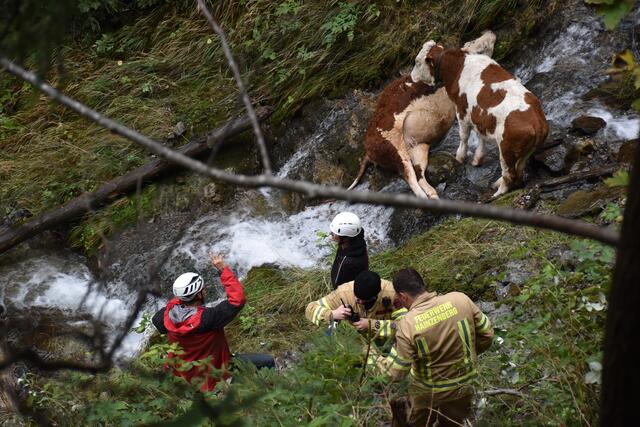 Der Einsatz war äußerst schwierig und kompliziert für die Rettungskräfte.  | Foto: ZOOM-Tirol