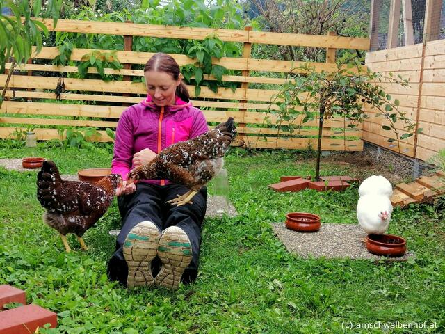 Tierischer Zuwachs: Kerstin Teubl mit ihren neuen, gefiederten Mitbewohnerinnen am Schwalbenhof. | Foto: Am Schwalbenhof/Kerstin Teubl