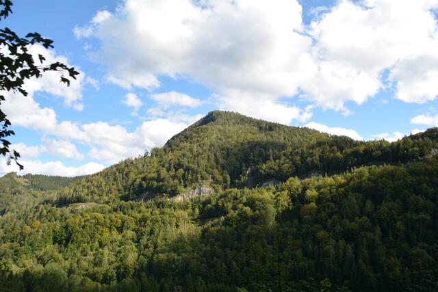 Eine Zugfahrt mit der Dampflok durch unser schönes Ötscherland