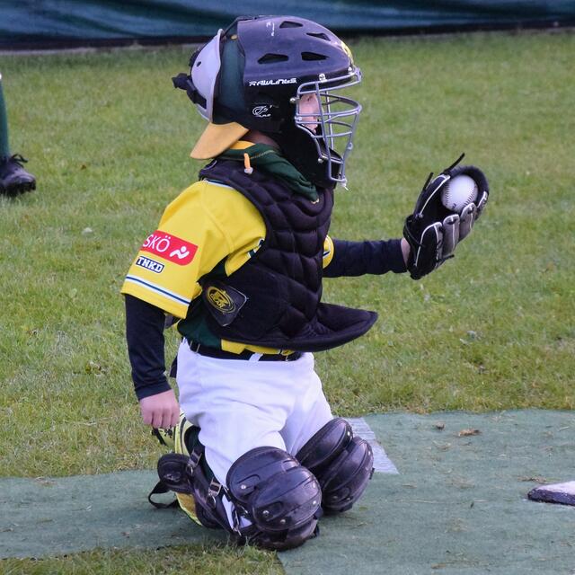 Traiskirchen Grasshoppers.