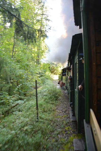 Eine Zugfahrt mit der Dampflok durch unser schönes Ötscherland