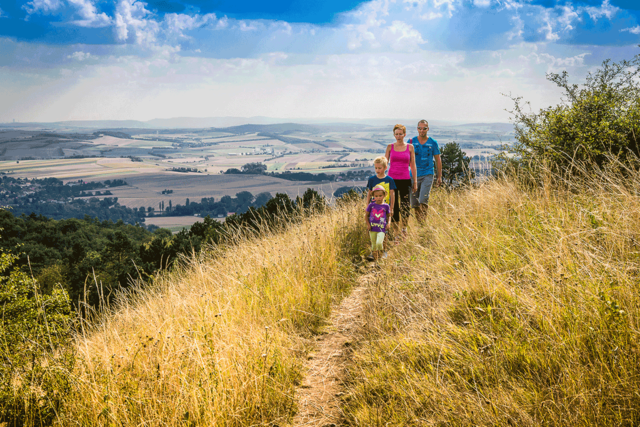 Der Naturpark Leiser Berge: ein beliebtes Ausflugsziel für die ganze Familie im Weinviertel.