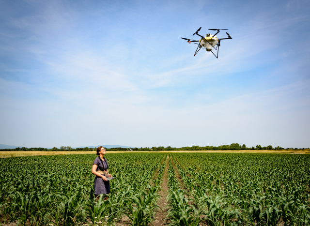 Drohneneinsatz: Digitale Unterstützung ist auch in der Landwirtschaft längst angekommen.