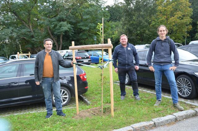 Stadtrat Gerhard Schabschneider, Bauhofleiter Josef Thoma und Vizebürgermeister Paul Mühlbauer