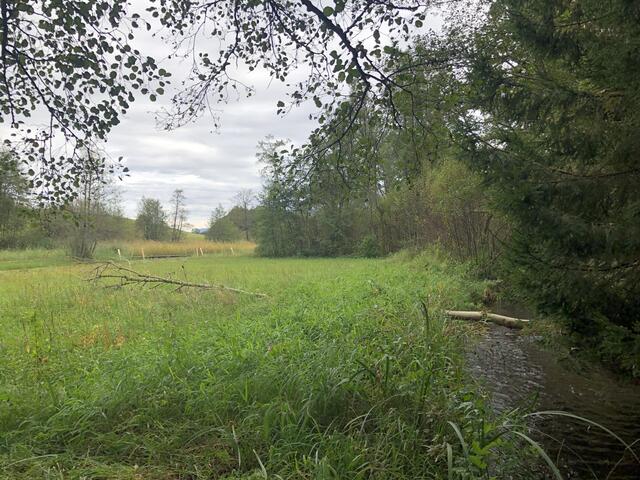 Wasser bereichert den Lebensraum der Ökostation Straß und sorgt für Libellen, Frösche und Nattern. | Foto: sm