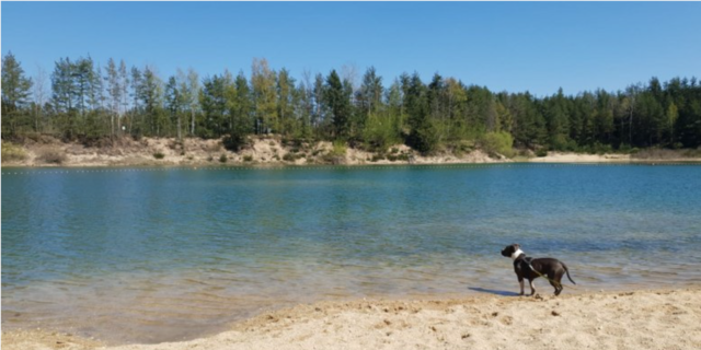 Das schöne Strandbad Gmünd: Mit dem Baden wird es heuer wohl nichts mehr, aber Einbrecher statteten dem Bad einen Besuch ab.