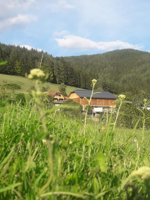 Der Thaler-Hof am Pischkberg bei Bruck: Die Wiesen rund um den Hof sind Basis für die Heumilch.