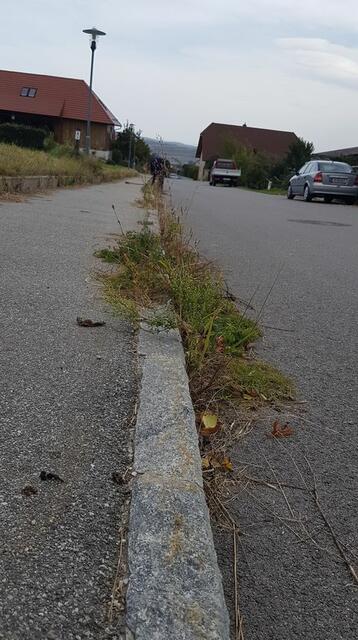 Vorher... | Foto: SP Wölbling