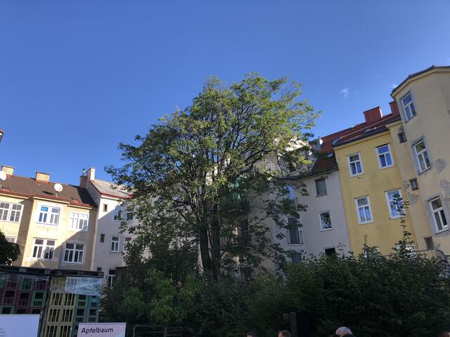 Der schon jetzt grüne Innenhof wird durch das Projekt Apfelbaum noch mehr aufgewertet. | Foto: mjp