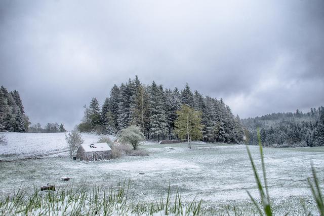 Betroffen ist vor allem der Steifen von Vorarlberg über das Salzkammergut bis ins westliche Niederösterreich. Aber auch in Unterkärnten und dem Süden der Steiermark könnten sich einige Flocken ausgehen.  Deutlich wahrnehmbare Schneemengen wird es ab zirka 1200 Metern geben. Laut Wetterexperten könne es bis zu 30 Zentimeter Neuschnee geben.