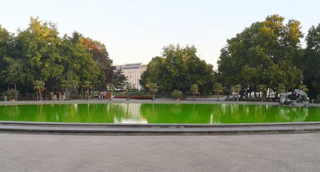 In der Nacht auf Donnerstag haben Unbekannte den Teich am Karlsplatz grün eingefärbt.