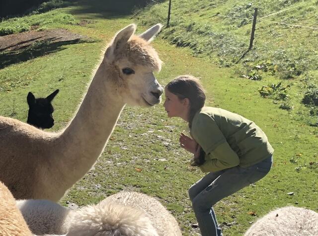 Auch die Kinder der Familie pflegen ein inniges Verhältnis zu den Tieren am Hof. Jedes Alpaka hat einen Namen.