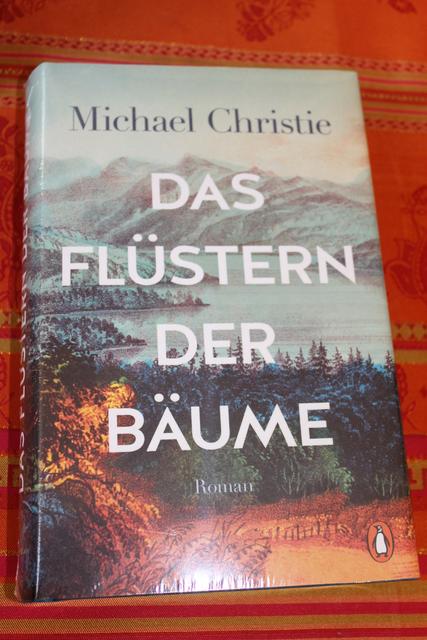 Der Roman beginnt in der Zukunft und führt den Leser über vier Generationen zur in die Vergangenheit.