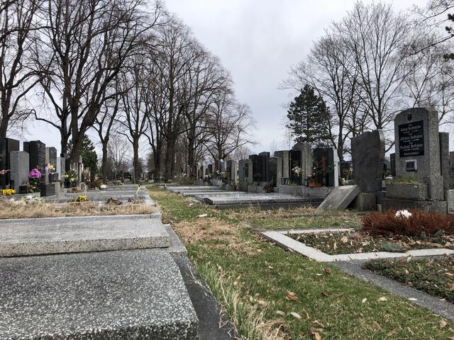 Am Friedhof Stammersdorf wurde ein Grabstein mit einem NS-Symbol entdeckt.