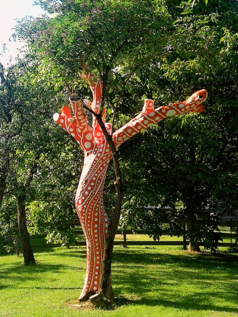 Künstler Giovanni Cappellaro verpasste einem Baum auf dem Grundstück seiner Schwester ein neues Outfit. | Foto: Privat