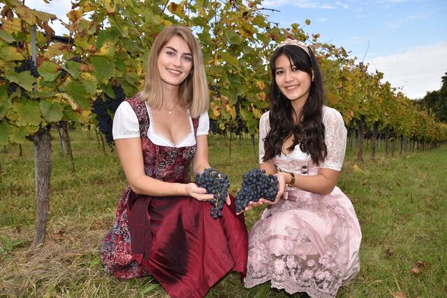 Miss Burgenland 2018 Angelika Tuifel und Vizemiss Burgenland 2018 Jennifer Malits schauten am Schützer Weinberg vorbei. | Foto: Michael Strini