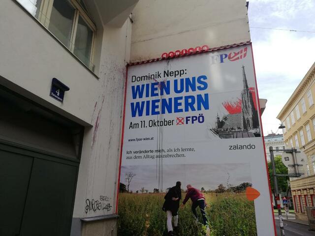 Foto: Hannah Maier