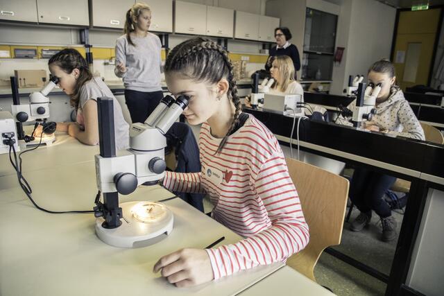 Die Schülerinnen und Schüler der MS Königsweg beteiligten sich mit großem Interesse an der Forschung. | Foto: Reischer