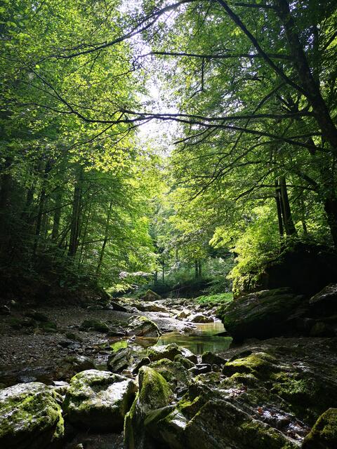 Erholung pur: rein in die Raabklamm und abschalten.