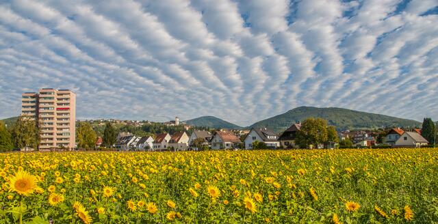 Eine gute Mischung: Stadt und Land ergänzen sich in der Region und haben einiges zu bieten.