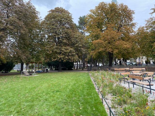 "Raus aus dem Asphalt": Anstelle der Asphaltfläche gibt es im Allerheiligenpark nun eine 200 Quadratmeter große Rasenfläche. | Foto: Kathrin Klemm