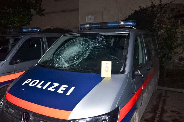 Die Windschutzscheibe wurde stark beschädigt | Foto: LPD NÖ