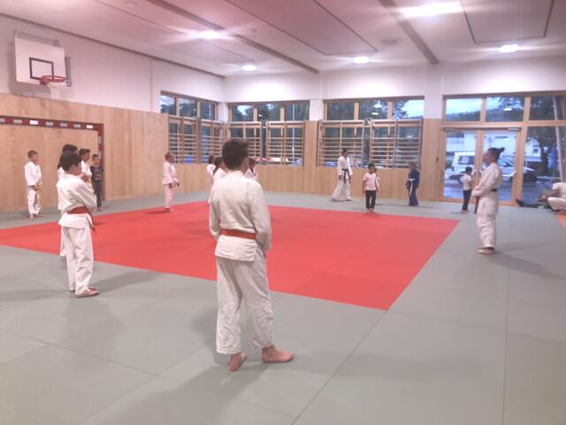 Die neue Mehrzweckhalle bietet vor allem Kampfsportlern, wie hier den Judoka, einen fixen Trainingsort.