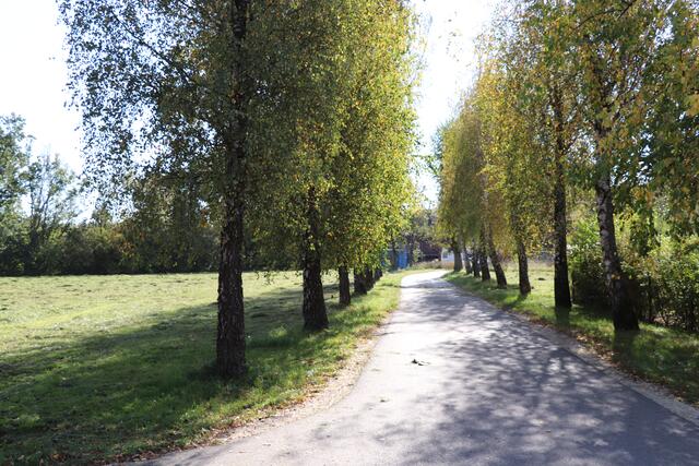 Foto: Pouget