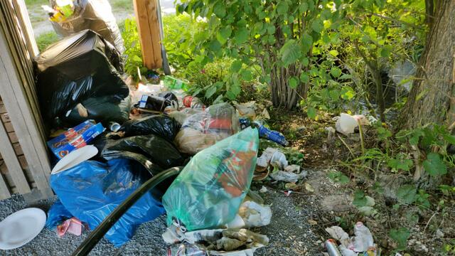 Am Stausee in Taiskirchen wird immer wieder illegal Müll abgelagert.