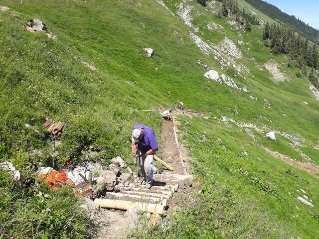 Die neuen Treppen werden mit Hartholz angelegt und sind auf eine besonders lange Haltbarkeit ausgelegt. | Foto: Thilo Kreier