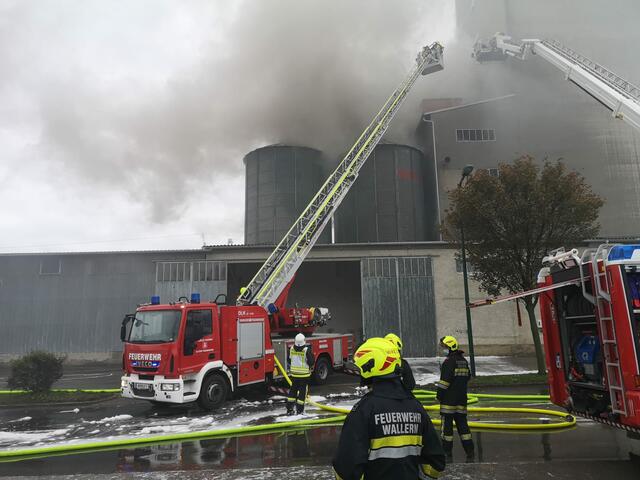In Wallern brennt eine Trocknungsanlage.  | Foto: Szankovich