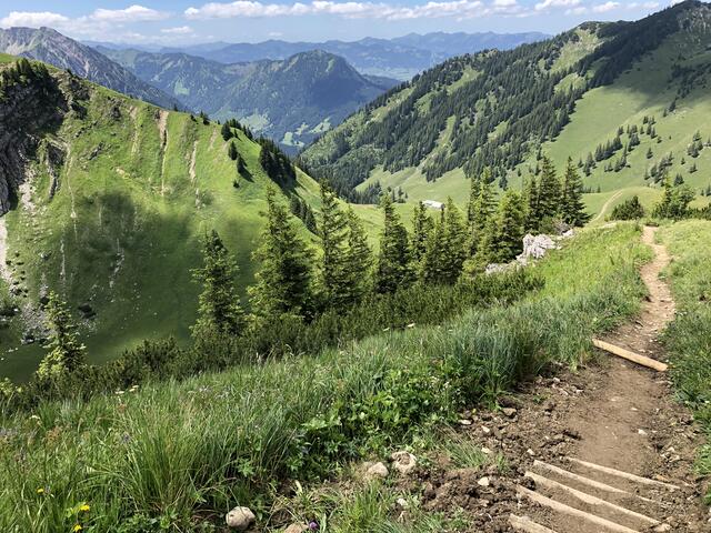 Treppe mit Ausblick: Oberhalb der Zipfelsalpe gibt es beim Grenzgänger neue Stufen mit Bergpanorama bis hinüber zur Nagelfluhkette.  | Foto: Thilo Kreier