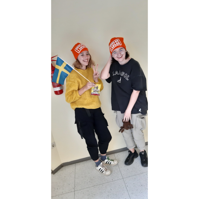 Vielseitige Europa-Projekte am Gymnasium Hartberg.