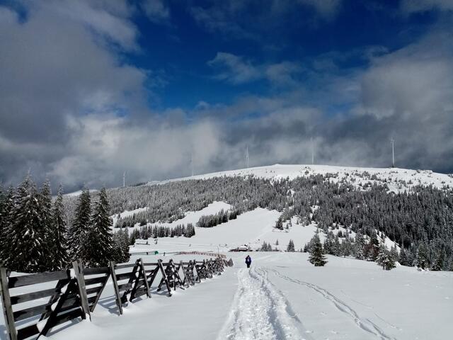 Bereits dieses Wochenende wurde die Weinebene von vielen Gästen zum Wandern im Schnee besucht. | Foto: Waltraud Fischer