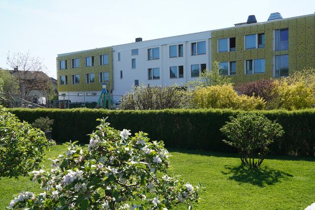 Neubauten und Grünraum müssen sich nicht ausschließen. | Foto: meinbezirk.at/Gertraud Kleemayr