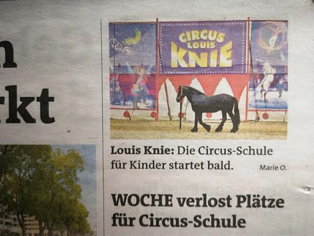 WOCHE Graz, 17. Juni 2020, Circus Lous Knie Jun.