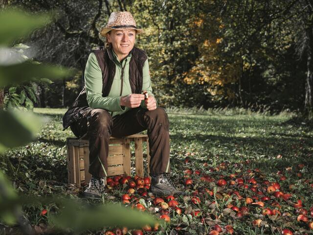 Apfelreich Veitlbauer