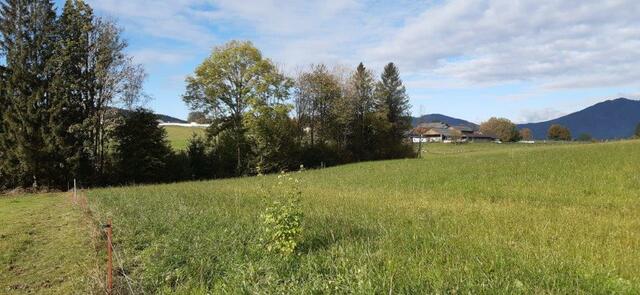 Ein Graben in Hart bei Passail soll mit Bodenaushubmaterial aufgeschüttet werden – nun gründeten einige Anwohner eine Bürgerinitiative. | Foto: Privat