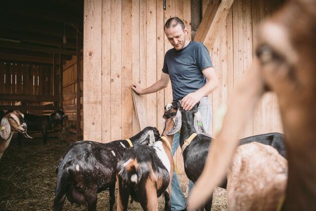 Regionale Produkte kaufen: Ziegenhof Ennsleitner