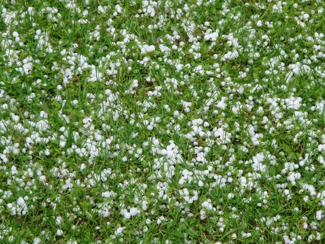 Hagel im Frühjahr