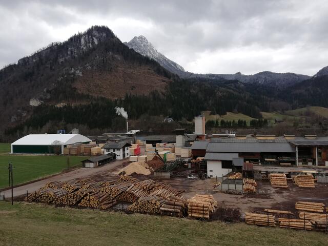 Rohstoff aus heimischen Wäldern: Klausbauer Holzindustrie 