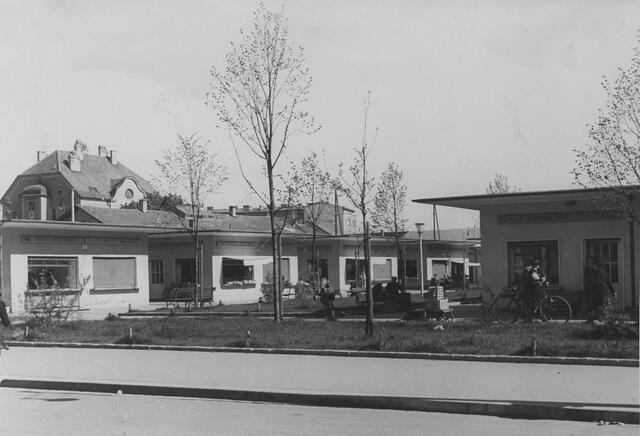 Damals 1949: Eröffnung des Südbahnhofmarktes
Anstelle des bisherigen Markts am Hessenplatz, der unter den Folgen der Kriegseinwirkungen litt und außerdem zu wenig Platz bot, wurde 1949 in nur zehn Monaten Bauzeit ein neuer Markt auf dem ehemaligen Südbahnhofgelände errichtet. Die einzelnen Marktstände in Form von 28 Kiosken mit je vier Verkaufsläden waren in eine Grünanlage mit Bänken und Bäumen eingebettet und genügten modernsten Anforderungen. | Foto: Archiv der Stadt Linz