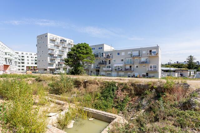 Ein neu gebautes Haus des Mietprojekts. | Foto: Christian Sperr Fotografie