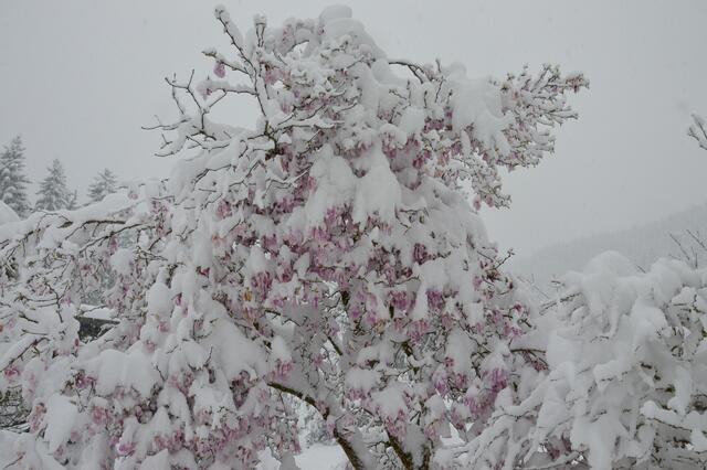 Wintereinbruch Wetterkabriolen