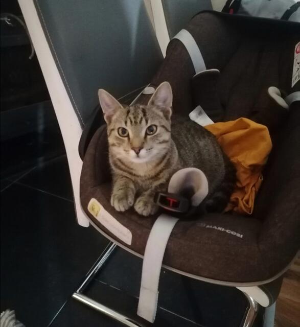 Tobi wird schmerzlich vermisst.