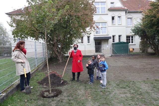 Schatten für den Kindergarten: Vzbg. Ingrid Weixlberger spendet Baum