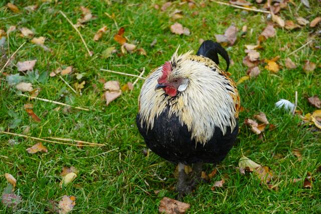 Foto: Gertraud Kleemayr